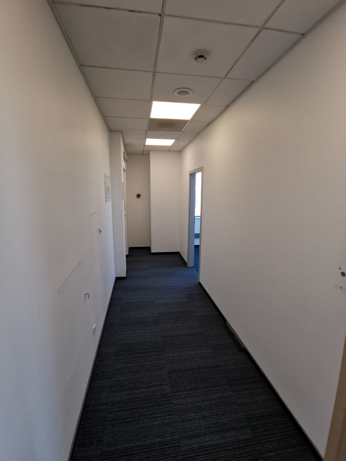 Офис в бизнес центре Садовая плаза