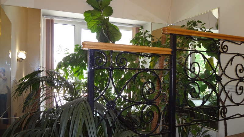 Особняк на Донской улице