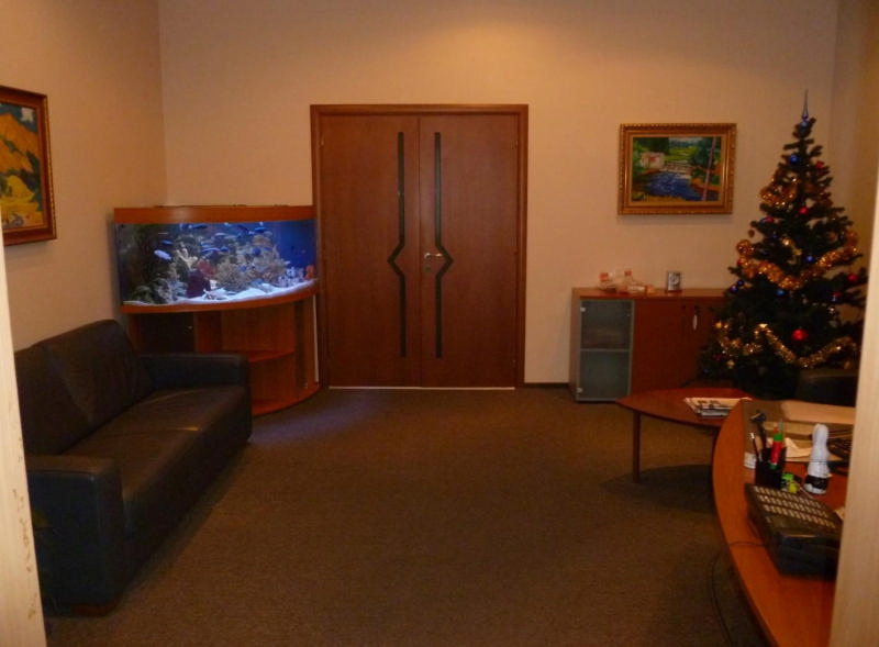 Особняк в переулке Пушкарёва